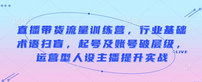 直播带货流量训练营，行业基础术语扫盲，起号及账号破层级，运营型人设主播提升实战-蚂蚁汇资源分享项目网