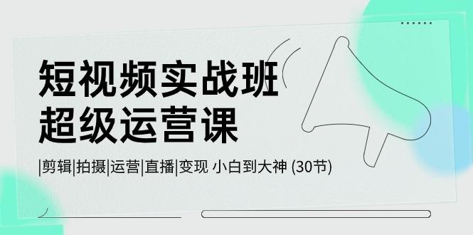 短视频实战班超级运营课 |剪辑|拍摄|运营|直播|变现 小白到大神 (30节)-蚂蚁汇资源分享项目网