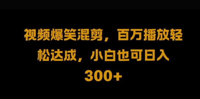 视频号零门槛，爆火视频搬运后二次剪辑，轻松达成日入1k【揭秘】-蚂蚁汇资源分享项目网