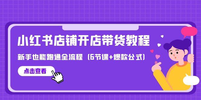 (9883期)最新小红书店铺开店带货教程，新手也能跑通全流程(6节课+爆款公式)-蚂蚁汇资源分享项目网