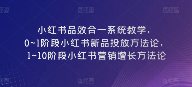小红书品效合一系统教学，​0~1阶段小红书新品投放方法论，​1~10阶段小红书营销增长方法论-蚂蚁汇资源分享项目网