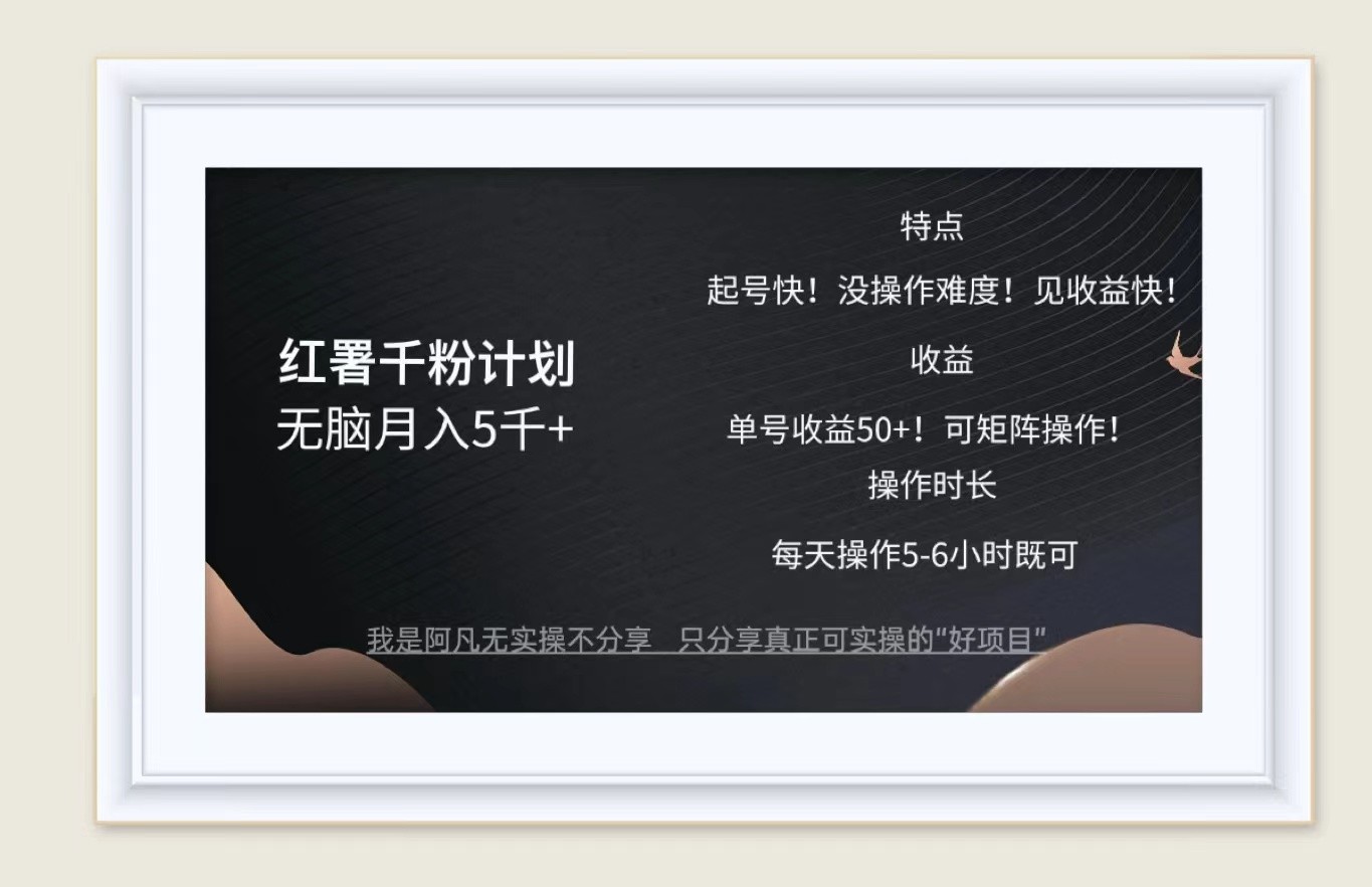 红薯千粉计划无脑月入5千+！既做既赚！-蚂蚁汇资源分享项目网