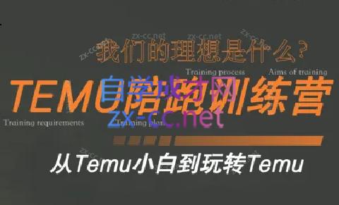 苗苗·拼多多跨境（temu）课程-蚂蚁汇资源分享项目网