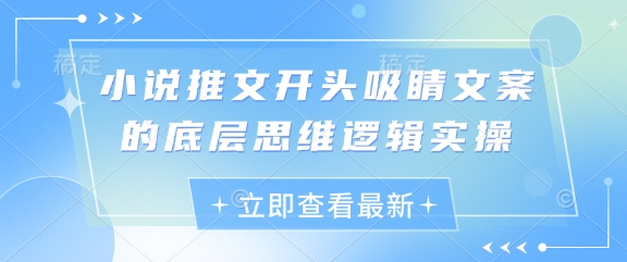小说推文开头吸睛文案的底层思维逻辑实操-蚂蚁汇资源分享项目网