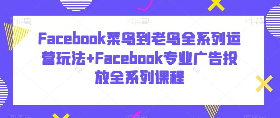 Facebook菜鸟到老鸟全系列运营玩法+Facebook专业广告投放全系列课程-蚂蚁汇资源分享项目网