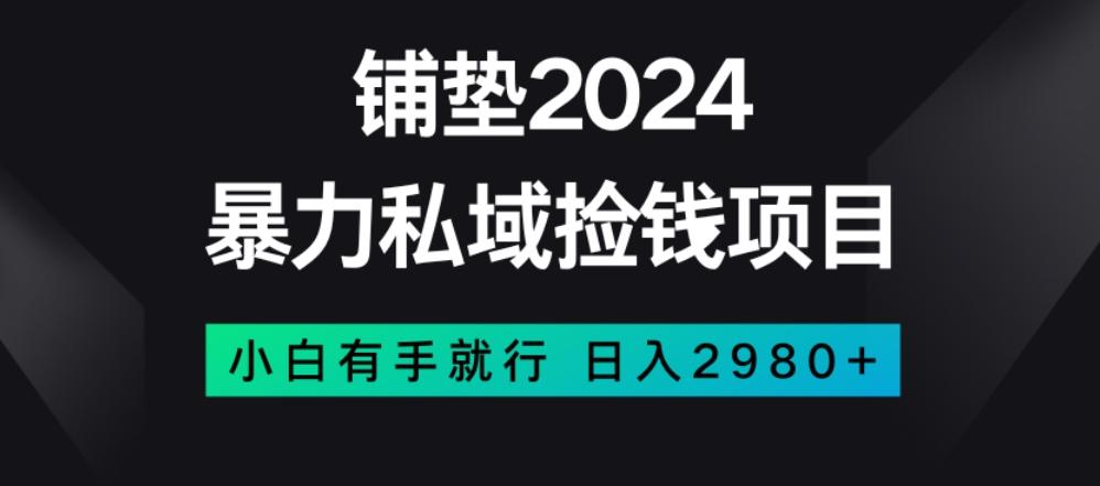 暴力私域捡钱项目，小白无脑操作，日入2980【揭秘】-蚂蚁汇资源分享项目网