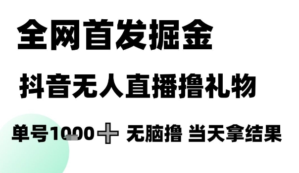 全网首发掘金抖音无人直播撸礼物，单号1k +无脑撸，当天拿结果【揭秘】-蚂蚁汇资源分享项目网