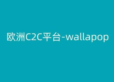 欧洲C2C平台-wallapop-kim跨境电商教程-蚂蚁汇资源分享项目网