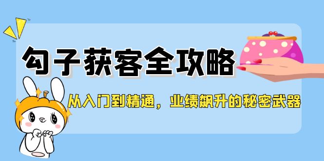 从入门到精通，勾子获客全攻略，业绩飙升的秘密武器-蚂蚁汇资源分享项目网