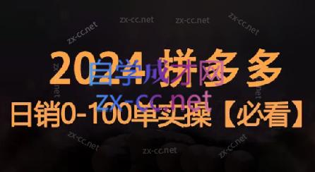 恒哥·2024拼多多日销0-100单实操-蚂蚁汇资源分享项目网