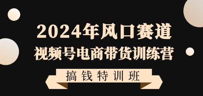 2024年风口赛道视频号电商带货训练营搞钱特训班，带领大家快速入局自媒体电商带货-蚂蚁汇资源分享项目网