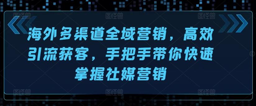 海外多渠道全域营销，高效引流获客，手把手带你快速掌握社媒营销-蚂蚁汇资源分享项目网