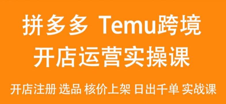 2024Temu最新玩法，Temu跨境开店运营实操课，开店注册/选品/核价上架/日出千单实战课-蚂蚁汇资源分享项目网