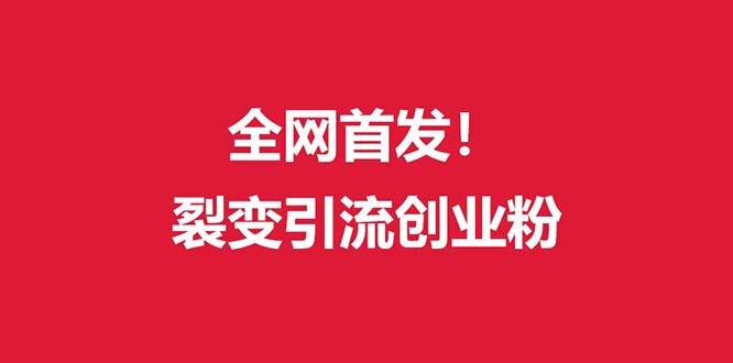 (全网首发)外面收费几千的裂变引流高质量创业粉-蚂蚁汇资源分享项目网