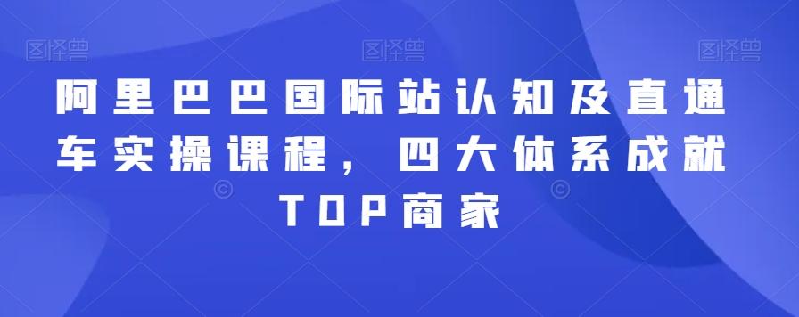 阿里巴巴国际站认知及直通车实操课程，四大体系成就TOP商家-蚂蚁汇资源分享项目网