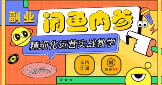 闲鱼精细化运营入门+高阶实战教学，从底层逻辑到轻松变现，多维度玩转闲鱼副业-蚂蚁汇资源分享项目网