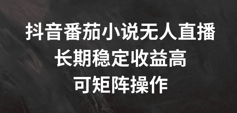 抖音番茄小说无人直播，长期稳定收益高，可矩阵操作【揭秘】-蚂蚁汇资源分享项目网