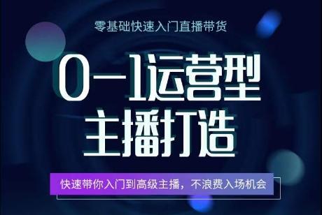 0-1运营型主播打造，​快速带你入门高级主播，不浪费入场机会-蚂蚁汇资源分享项目网