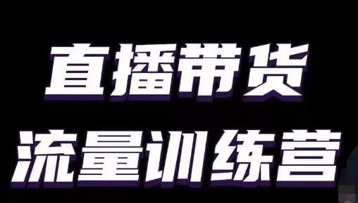 直播带货流量训练营，小白主播必学直播课-蚂蚁汇资源分享项目网