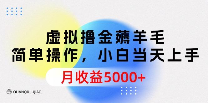 (9864期)虚拟撸金薅羊毛，简单操作，小白当天上手，月收益5000+-蚂蚁汇资源分享项目网