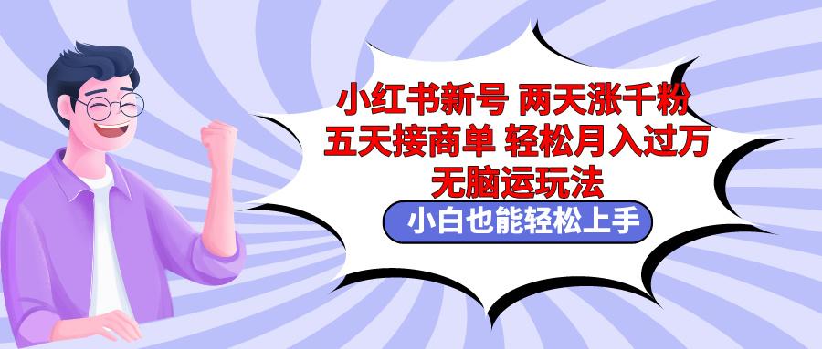 小红书新号两天涨千粉五天接商单轻松月入过万 无脑搬运玩法 小白也能轻…-蚂蚁汇资源分享项目网