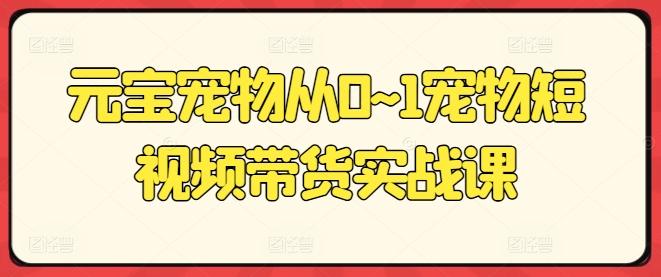 元宝宠物从0~1宠物短视频带货实战课-蚂蚁汇资源分享项目网