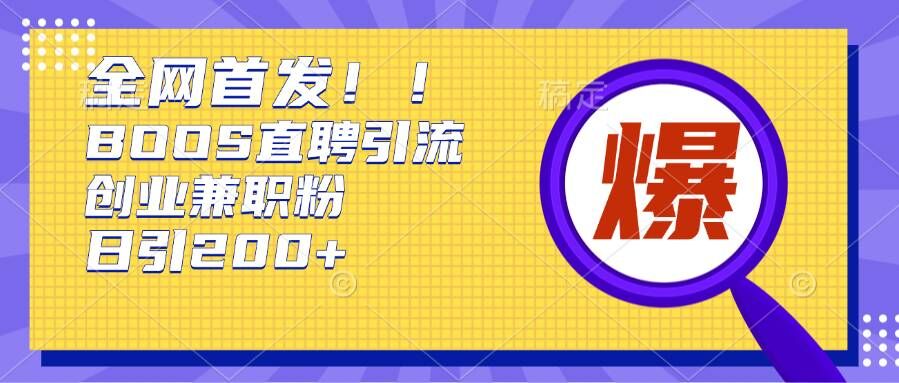 通过Boss直聘，每天轻松钓到200+多条创业大鱼的秘籍【揭秘】-蚂蚁汇资源分享项目网