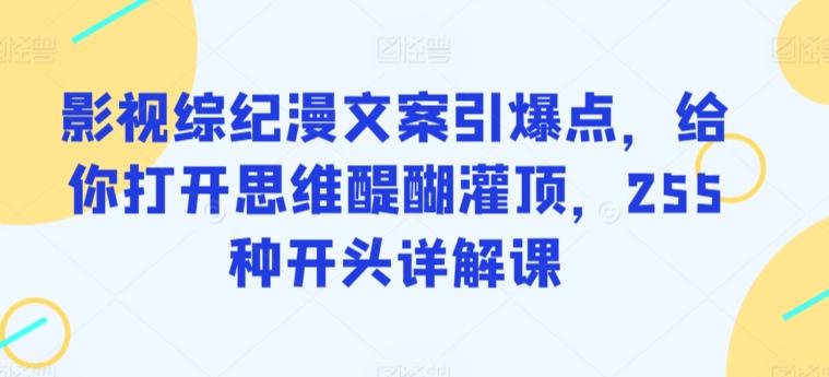 影视综纪漫文案引爆点，给你打开思维醍醐灌顶，255种开头详解课-蚂蚁汇资源分享项目网