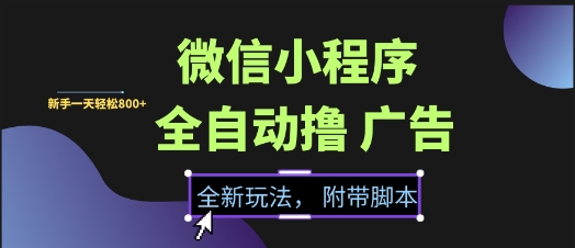 微信小程序全自动撸广告项目，彻底解决没流量的问题，新手一天8张+【揭秘】-蚂蚁汇资源分享项目网