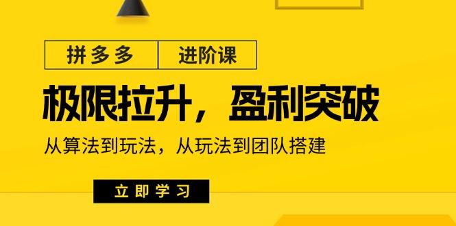 拼多多·进阶课：极限拉升/盈利突破：从算法到玩法 从玩法到团队搭建-18节-蚂蚁汇资源分享项目网