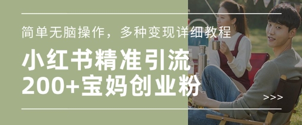 小红书混剪日引200+宝妈创业粉，简单无脑操作，多种变现详细教程-蚂蚁汇资源分享项目网