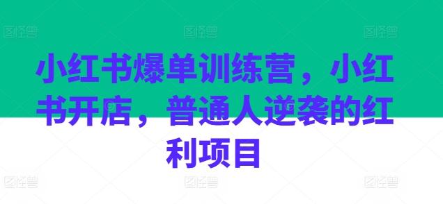 小红书爆单训练营，小红书开店，普通人逆袭的红利项目-蚂蚁汇资源分享项目网