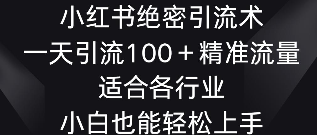 小红书绝密引流术，一天引流100+精准流量，适合各个行业，小白也能轻松上手【揭秘】-蚂蚁汇资源分享项目网