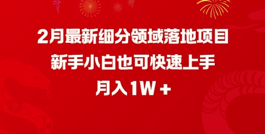2月最新细分领域落地项目，新手小白也可快速上手，月入1W-蚂蚁汇资源分享项目网
