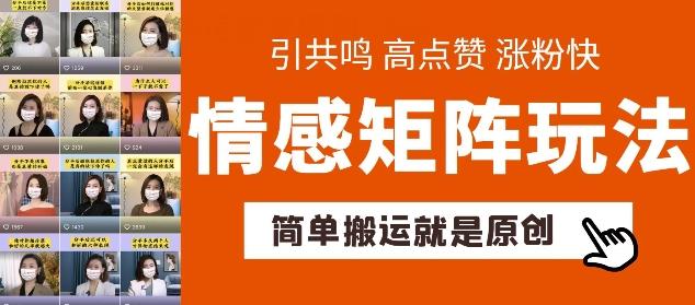 简单搬运，情感矩阵玩法，涨粉速度快，可带货，可起号【揭秘】-蚂蚁汇资源分享项目网