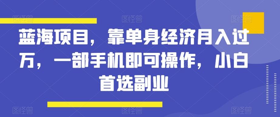 蓝海项目，靠单身经济月入过万，一部手机即可操作，小白首选副业【揭秘】-蚂蚁汇资源分享项目网
