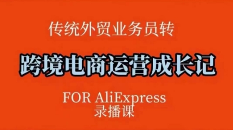 跨境电商速卖通运营课，​运营方法论+后台实操，逻辑清晰-蚂蚁汇资源分享项目网