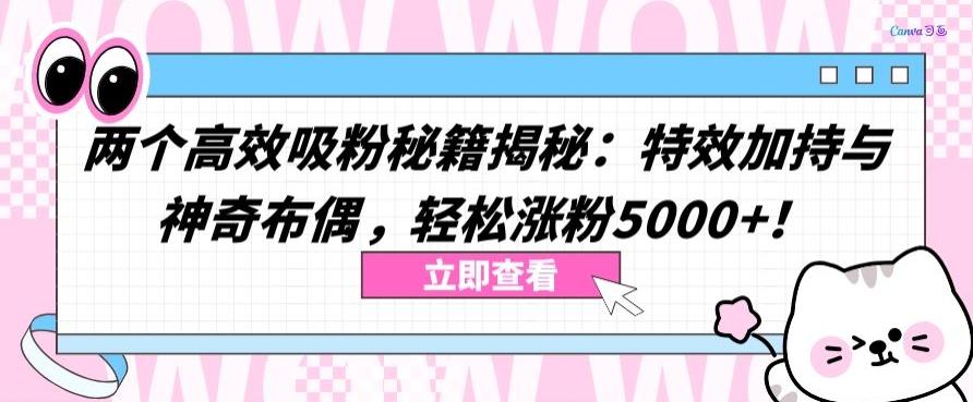 两个高效吸粉秘籍揭秘：特效加持与神奇布偶，轻松涨粉5000+【揭秘】-蚂蚁汇资源分享项目网