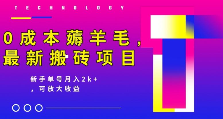 0成本薅羊毛，最新搬砖项目，新手单号月入2k+，可放大操作-蚂蚁汇资源分享项目网