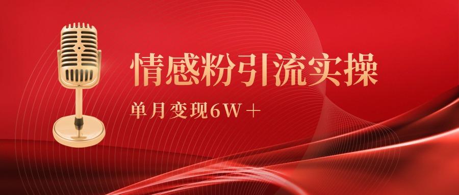 (9473期)单月变现6w+，情感粉引流变现实操课-蚂蚁汇资源分享项目网