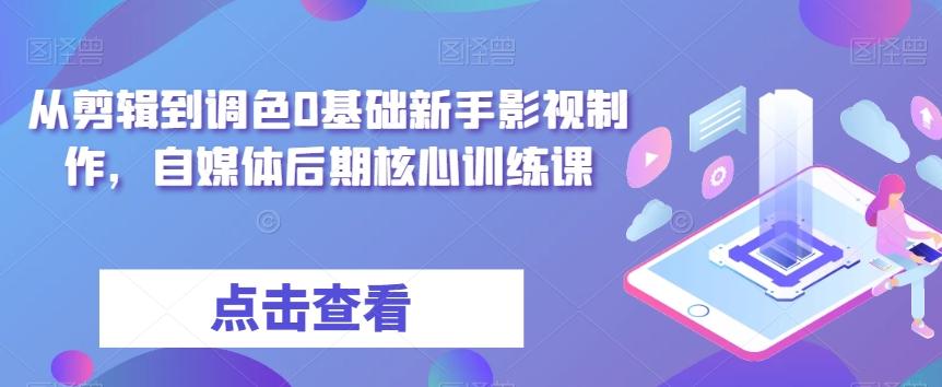 从剪辑到调色0基础新手影视制作，自媒体后期核心训练课-蚂蚁汇资源分享项目网