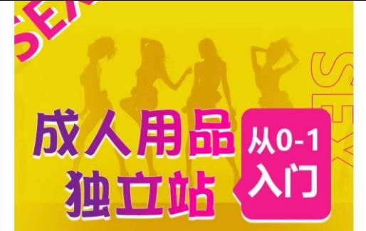 成人用品独立站从0-1入门，成品独立站运营全流程教学，七大好卖成品独立站推荐-蚂蚁汇资源分享项目网