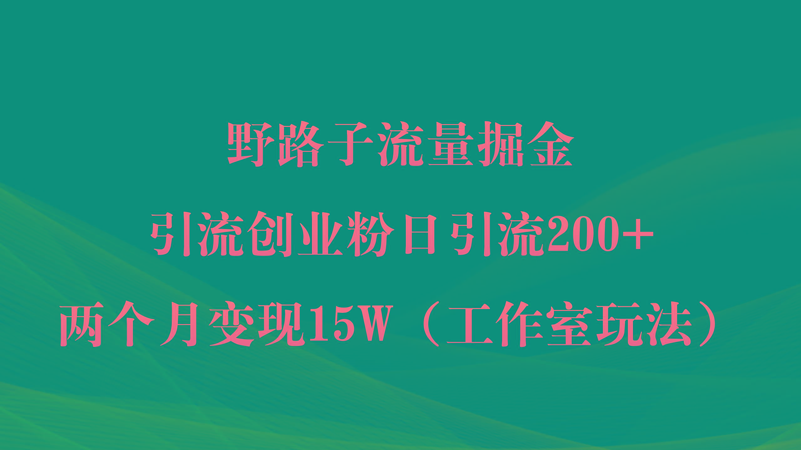 (9513期)野路子流量掘金，引流创业粉日引流200+，两个月变现15W(工作室玩法))-蚂蚁汇资源分享项目网