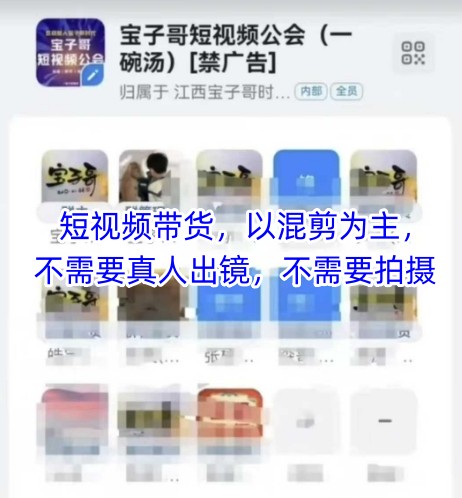宝子哥头部团队短视频带货，以混剪为主，不需要真人出镜，不需要拍摄-蚂蚁汇资源分享项目网