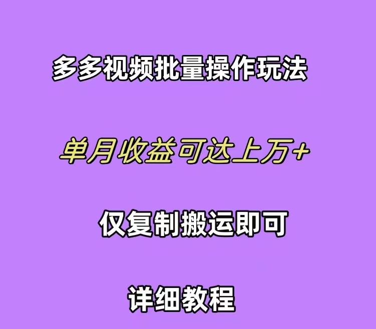 (10029期)拼多多视频带货快速过爆款选品教程 每天轻轻松松赚取三位数佣金 小白必…-蚂蚁汇资源分享项目网