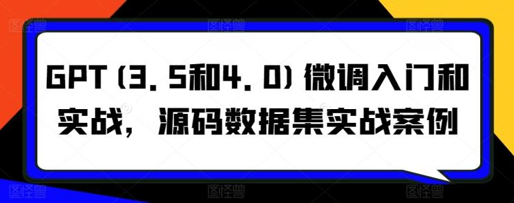 GPT(3.5和4.0)微调入门和实战，源码数据集实战案例-蚂蚁汇资源分享项目网