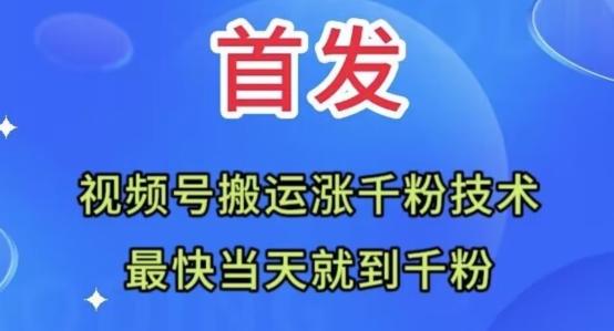 全网首发：视频号无脑搬运涨千粉技术，最快当天到千粉【揭秘】-蚂蚁汇资源分享项目网