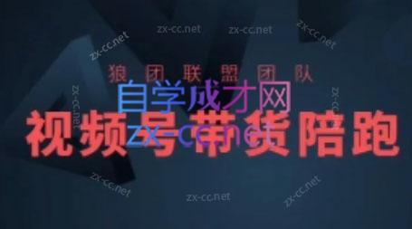 狼团联盟·2024视频号带货-蚂蚁汇资源分享项目网