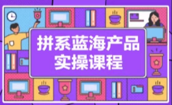 拼系冷门蓝海产品实操课程，从注册店铺到选品上架到流量维护环环相扣-蚂蚁汇资源分享项目网