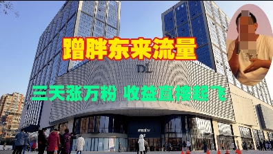 蹭胖东来流量，三天涨万粉，收益直接起飞-蚂蚁汇资源分享项目网
